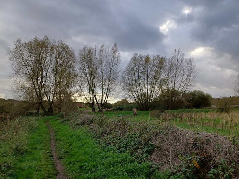 grassed area of nature reserve