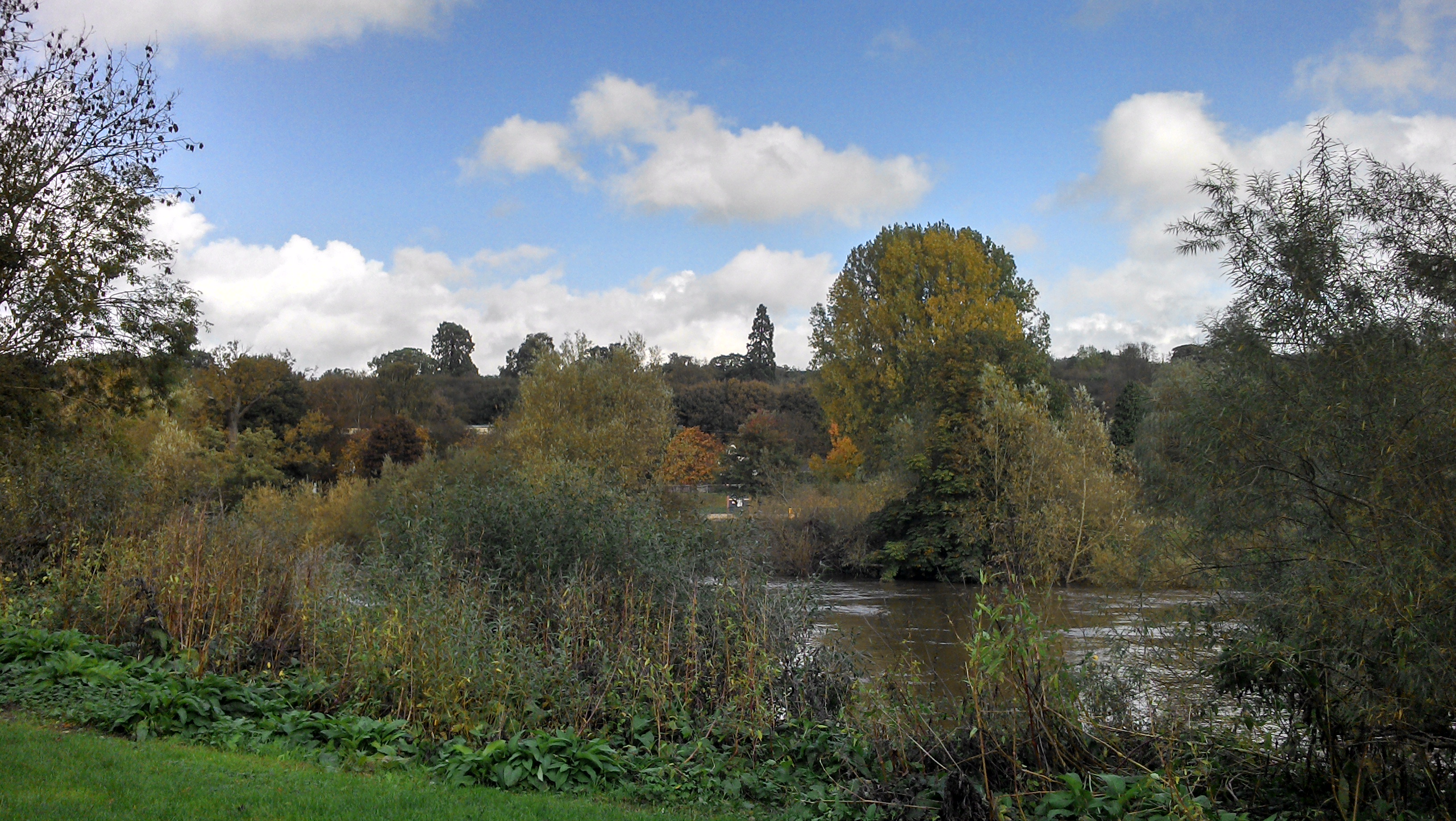 Looking out across River Severn from the main bridge over the river, to the mature tree line landscape.