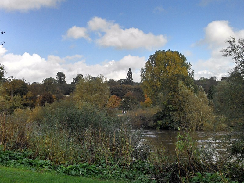 Looking out across River Severn from the main bridge over the river, to the mature tree line landscape.
