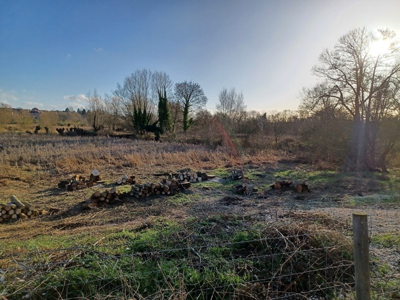 sunsetting over nature reserve