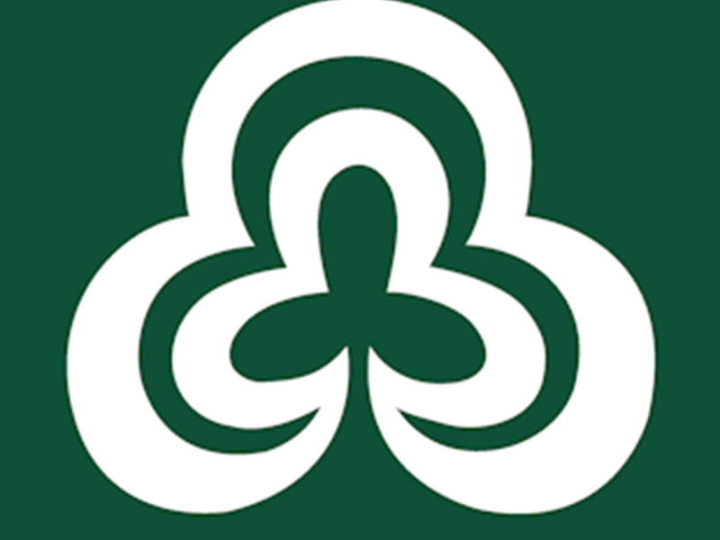 logo Wyre Forest District Council