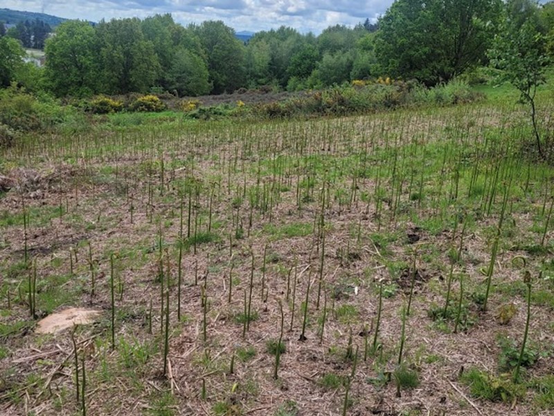 thin grass nature reserve