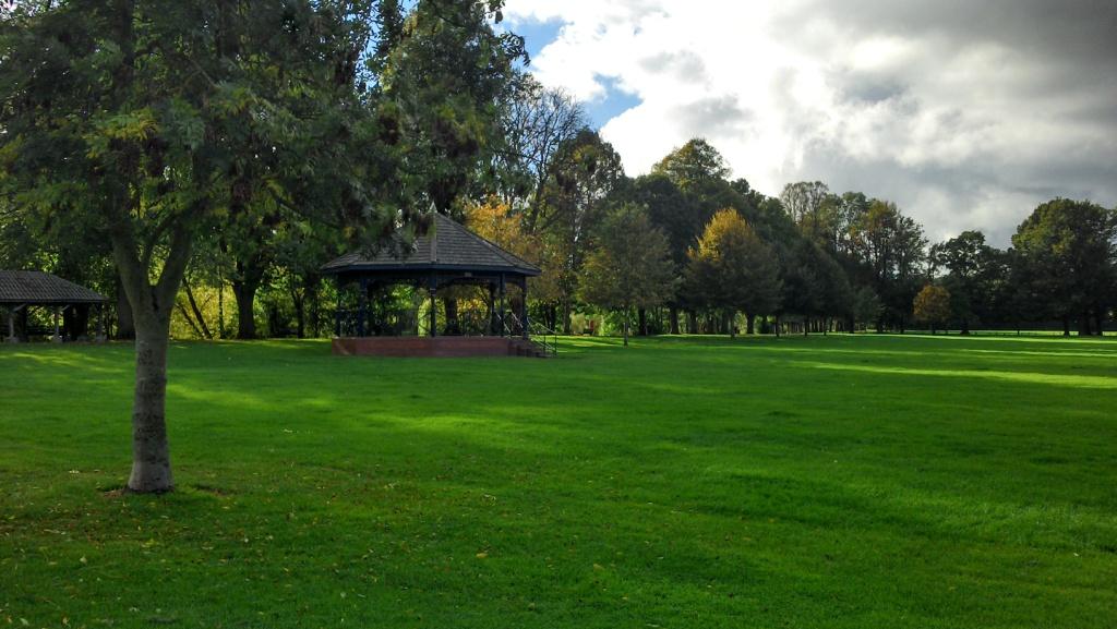 Open green space with a large established tree in the foreground and a bandstand in the background