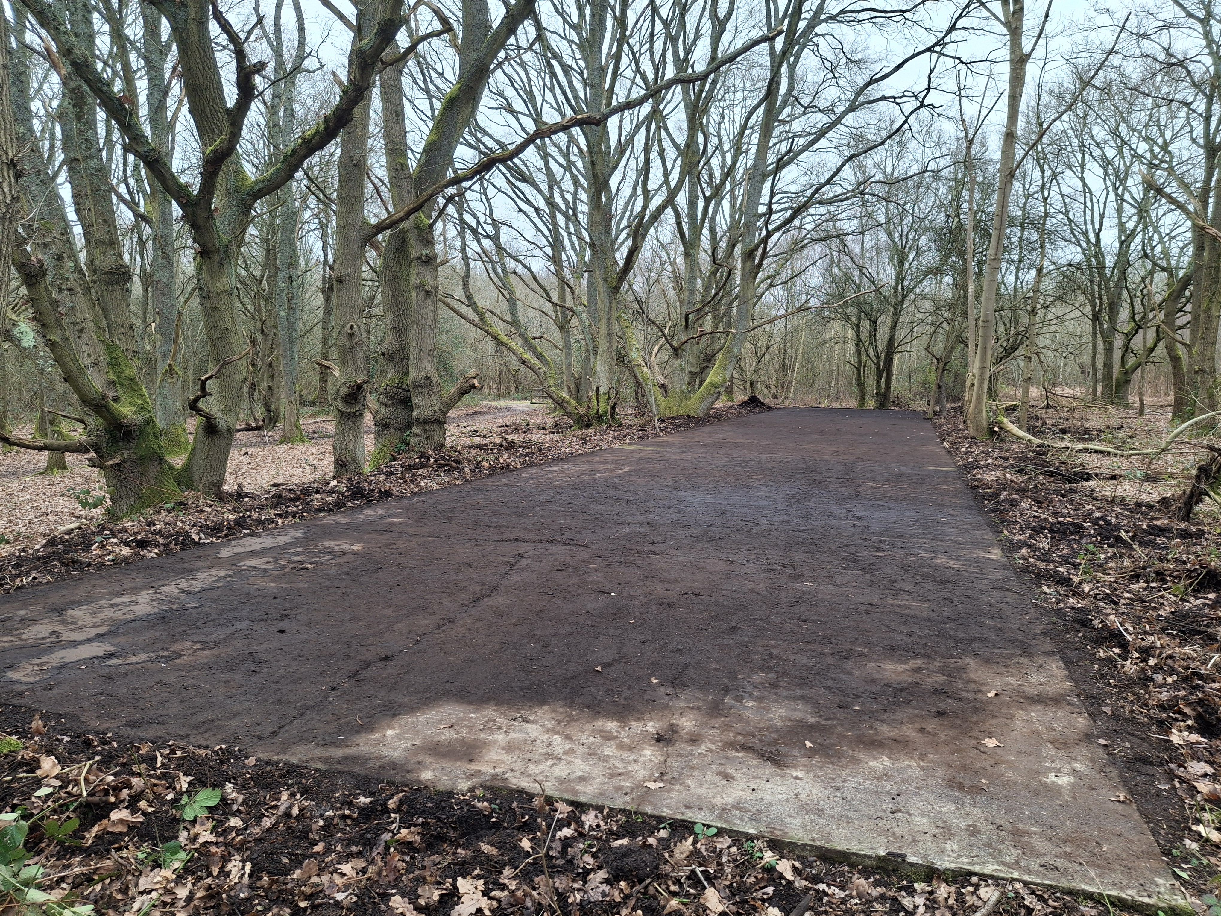 reamins of old US Army base Camp Bewdley at local nature reserve