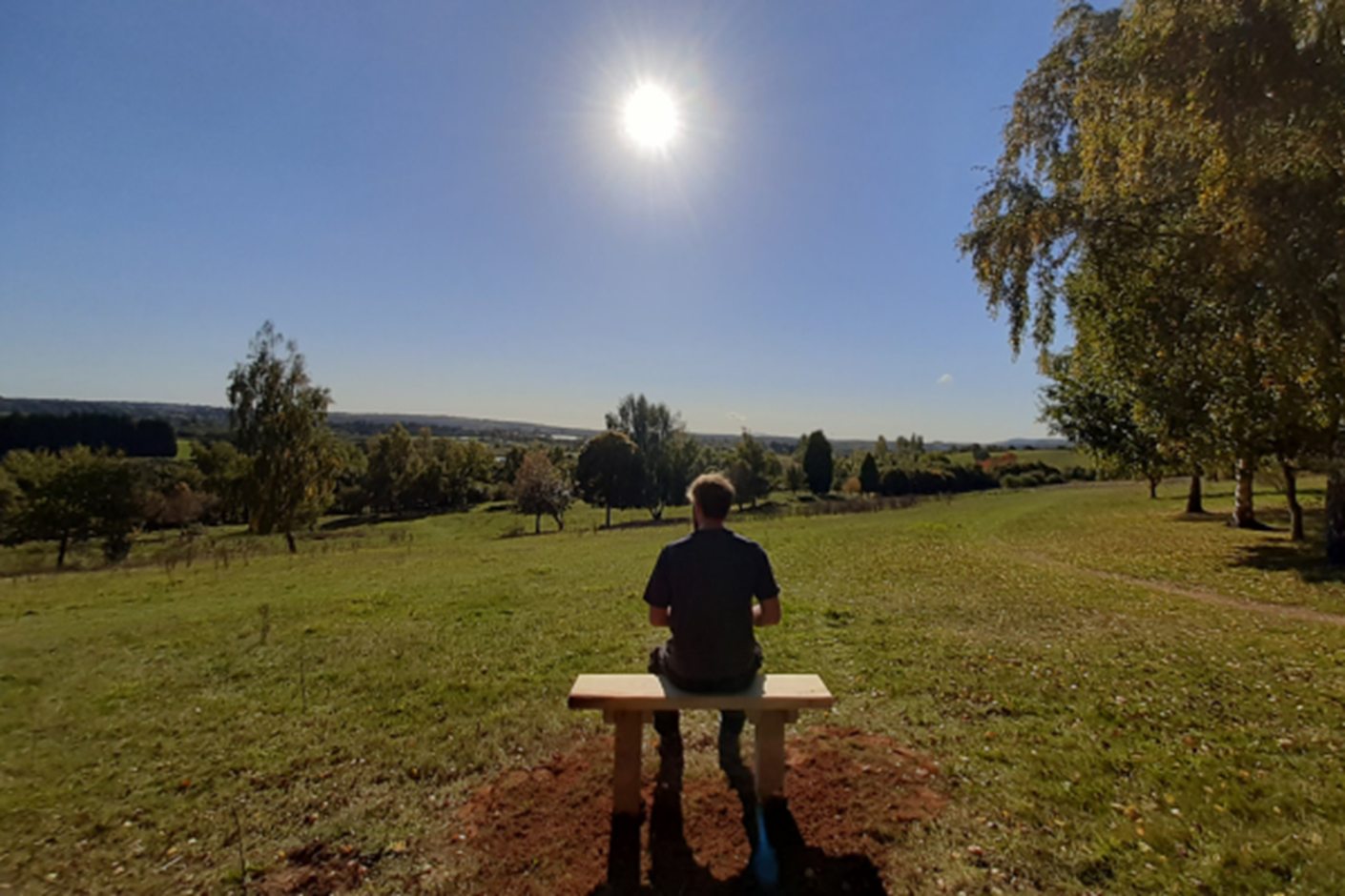 lone figure sat on bench in open grassed area in sunshine
