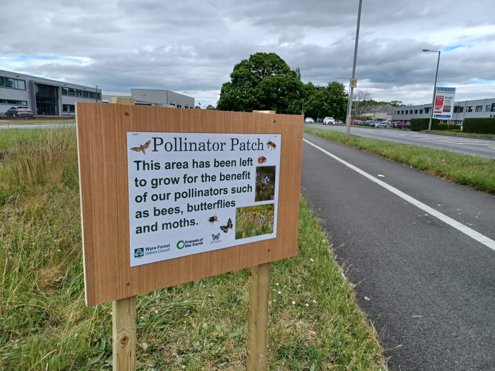 pollinator patch sign on side of road. sign read this area has been left to grow for the benefit of pollinators such as bees, butterflies and moths