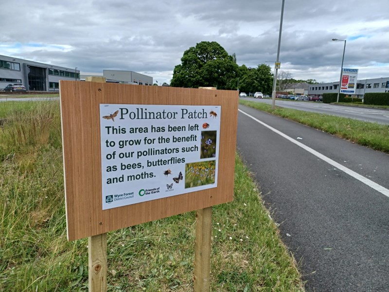pollinator patch sign on side of road. sign read this area has been left to grow for the benefit of pollinators such as bees, butterflies and moths