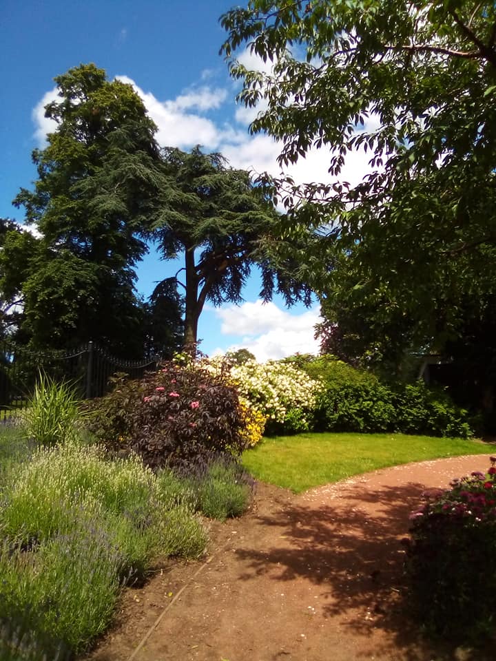 Trees and low level herbacous plants borders winding footpath inbetween grassed area