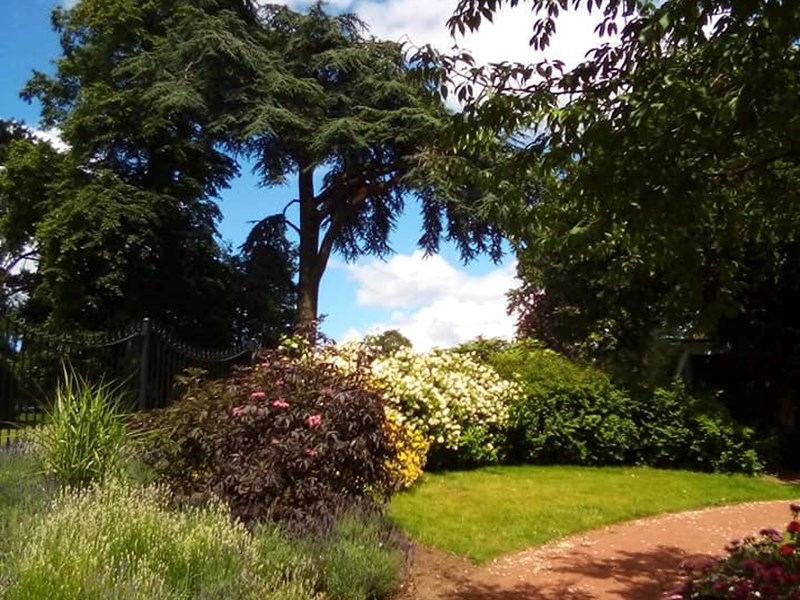 Trees and low level herbacous plants borders winding footpath inbetween grassed area