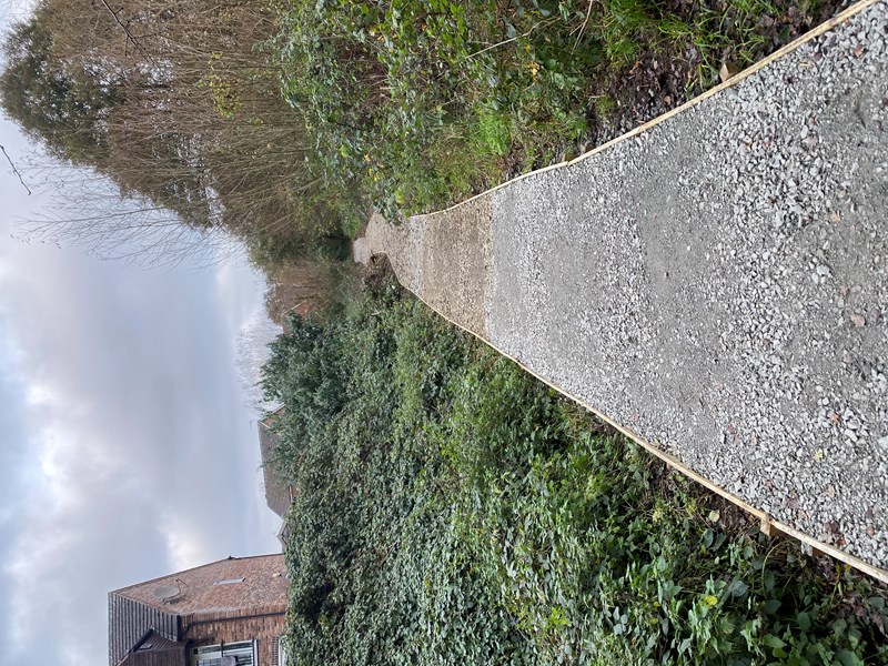 new path through marshland