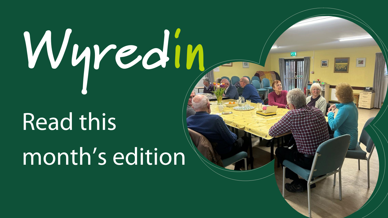 wyredin read this month's edition written on green background