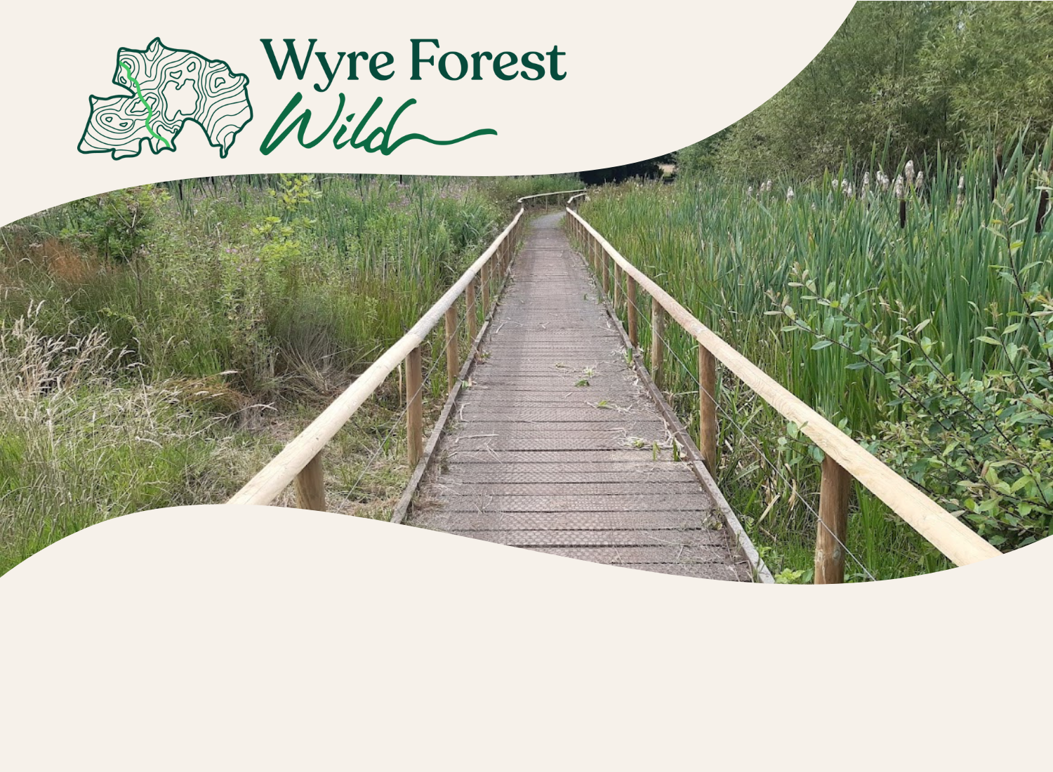 wooden walkway through local nature reserve