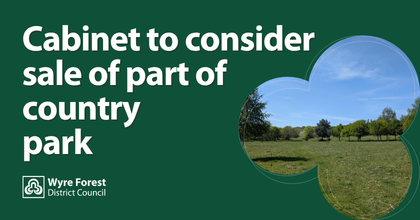 Cabinet to consider sale of part of country park