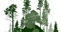 green silhouette of forest trees
