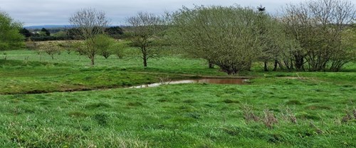 body of water in grassed field