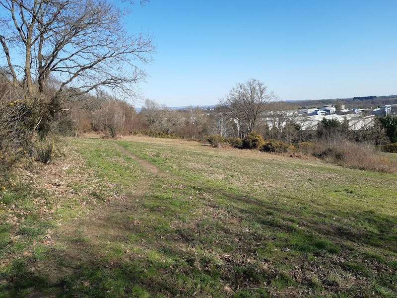grassed area of nature reserve