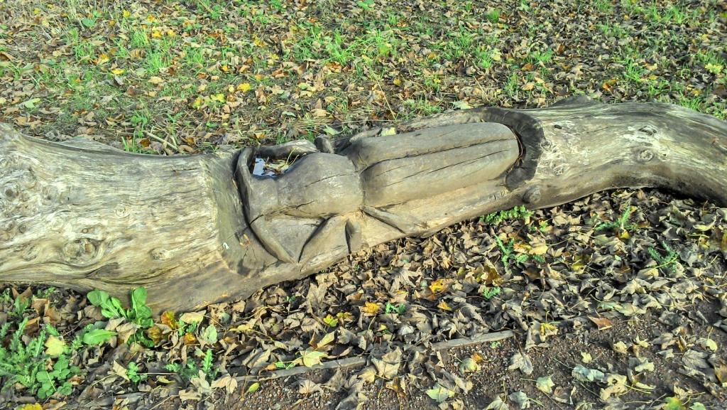 A beetle sculpture has been created in an old fallen tree trunk within the public gardens