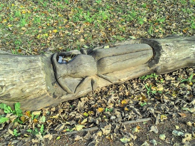 A beetle sculpture has been created in an old fallen tree trunk within the public gardens