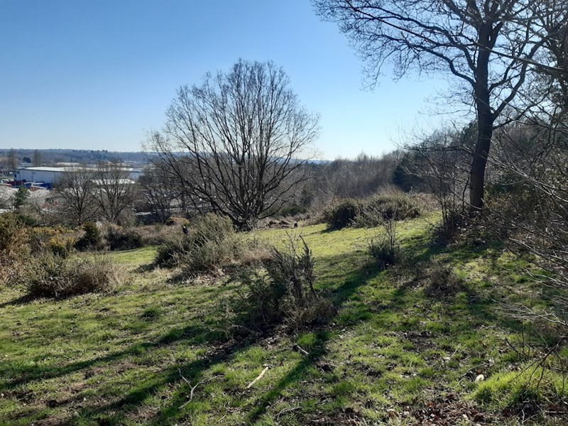 view over nature reserve