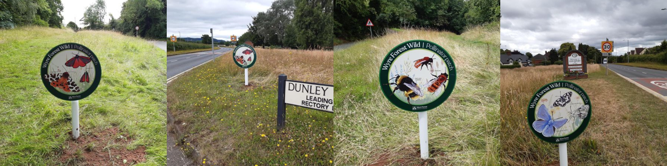 four pictures of new lollipop signs showing where pollinator patches are across the district