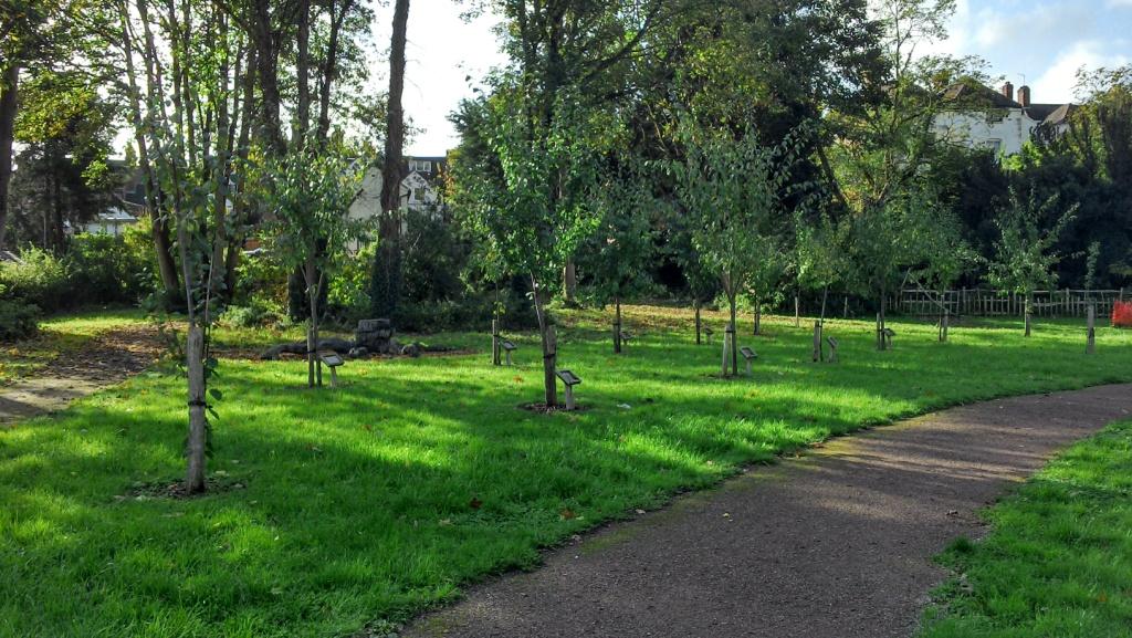 A footpath centrally located in beautiful public gardens and ont he left side thereis an orchard of mature trees