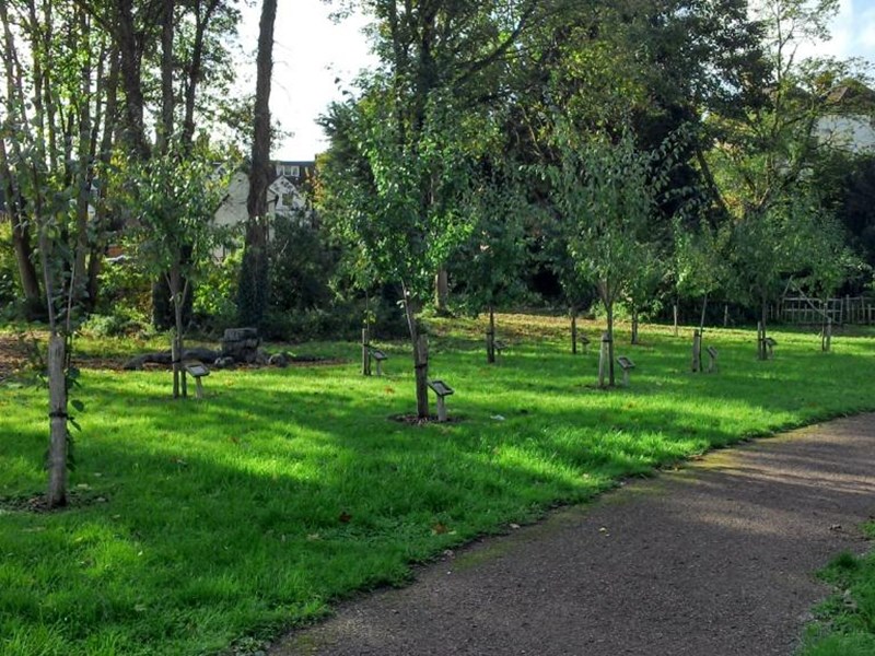 A footpath centrally located in beautiful public gardens and ont he left side thereis an orchard of mature trees